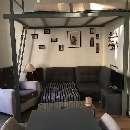 Guest house Studio En Centre Ville Dans Petite Balcon Couchage En Mezzanine 2 Personnes Cuisine Sdb